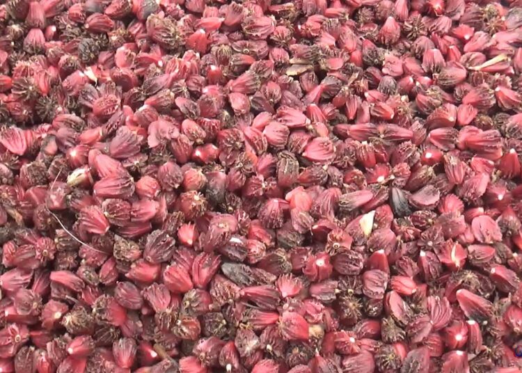 अलैँचीको मूल्य वृद्धि
