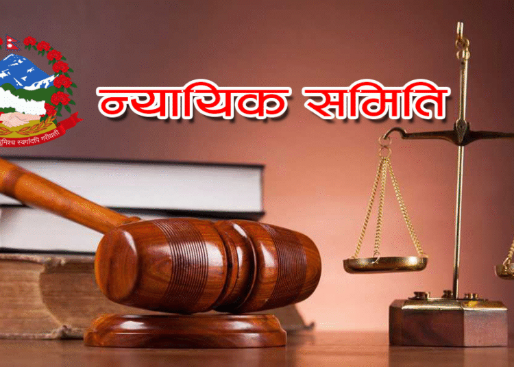प्रभावकारी देखिएनन् न्यायिक समिति
